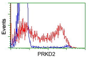 HEK293T cells transfected with either overexpress plasmid (Red) or empty vector control plasmid (Blue) were immunostained by anti-PRKD2 antibody, and then analyzed by flow cytometry.