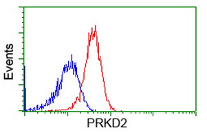 Flow cytometry of HeLa cells, using anti-PRKD2 antibody, (Red), compared to a nonspecific negative control antibody, (Blue).