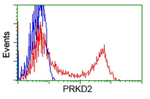 HEK293T cells transfected with either overexpress plasmid (Red) or empty vector control plasmid (Blue) were immunostained by anti-PRKD2 antibody, and then analyzed by flow cytometry.