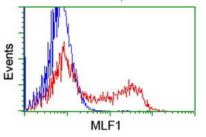HEK293T cells transfected with either overexpress plasmid (Red) or empty vector control plasmid (Blue) were immunostained by anti-MLF1 antibody, and then analyzed by flow cytometry.
