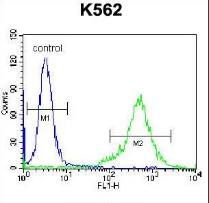 PRL Antibody flow cytometry of K562 cells (right histogram) compared to a negative control cell (left histogram). FITC-conjugated donkey-anti-rabbit secondary antibodies were used for the analysis.