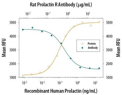 Cell Proliferation Induced by Prolactin and Neutralization by Rat Prolactin R Antibody. Recombinant Human Prolactin stimulates proliferation in the Nb2-11 rat lymphoma cell line in a dose-dependent manner (orange line). Proliferation elicited by Recombinant Human Prolactin (0.5 ng/ml) is neutralized (green line) by increasing concentrations of Goat Anti-Rat Prolactin R Antigen Affinity-purified Polyclonal Antibody. 25 ug/ml of this antibody will neutralize Recombinant Human Prolactin-induced activity by>60%.