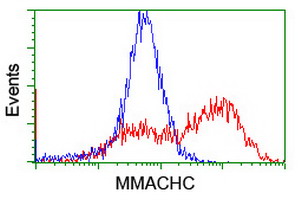 HEK293T cells transfected with either overexpress plasmid (Red) or empty vector control plasmid (Blue) were immunostained by anti-MMACHC antibody, and then analyzed by flow cytometry.