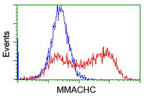 HEK293T cells transfected with either overexpress plasmid (Red) or empty vector control plasmid (Blue) were immunostained by anti-MMACHC antibody, and then analyzed by flow cytometry.