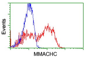 HEK293T cells transfected with either overexpress plasmid (Red) or empty vector control plasmid (Blue) were immunostained by anti-MMACHC antibody, and then analyzed by flow cytometry.