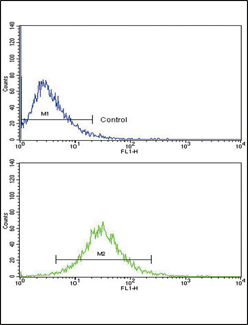Flow cytometric of HepG2 cells using MMP3 Antibody (bottom histogram) compared to a negative control cell (top histogram). FITC-conjugated goat-anti-rabbit secondary antibodies were used for the analysis.