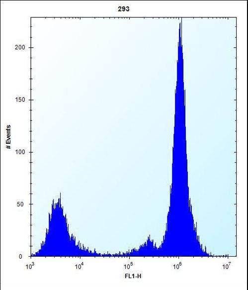MOBKL1B Antibody flow cytometry of 293 cells (right histogram) compared to a negative control cell (left histogram). FITC-conjugated goat-anti-rabbit secondary antibodies were used for the analysis.