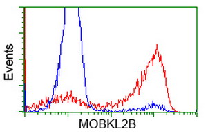 HEK293T cells transfected with either overexpress plasmid (Red) or empty vector control plasmid (Blue) were immunostained by anti-MOBKL2B antibody, and then analyzed by flow cytometry.