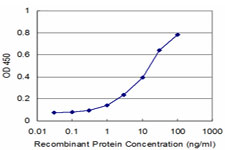 Detection limit for recombinant GST tagged MPHOSPH6 is approximately 1 ng/ml as a capture antibody.