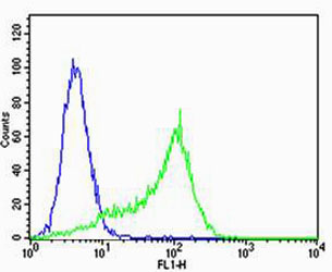 Flow cytometric of HeLa cells with MPP7 Antibody (green) compared to an isotype control of rabbit IgG (blue). Antibody was diluted at 1:25 dilution. An Alexa Fluor 488 goat anti-rabbit lgG at 1:400 dilution was used as the secondary antibody.