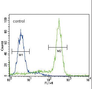MPST Antibody flow cytometry of HepG2 cells (right histogram) compared to a negative control cell (left histogram). FITC-conjugated goat-anti-rabbit secondary antibodies were used for the analysis.