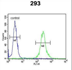 MRAP Antibody flow cytometry of 293 cells (right histogram) compared to a negative control cell (left histogram). FITC-conjugated goat-anti-rabbit secondary antibodies were used for the analysis.