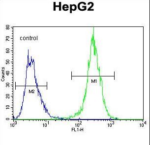MRFAP1L1 Antibody flow cytometry of HepG2 cells (right histogram) compared to a negative control cell (left histogram). FITC-conjugated goat-anti-rabbit secondary antibodies were used for the analysis.