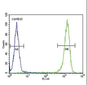 MC2R Antibody flow cytometry of WiDr cells (right histogram) compared to a negative control cell (left histogram). FITC-conjugated goat-anti-rabbit secondary antibodies were used for the analysis.