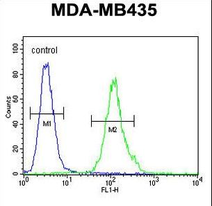 M4A4A Antibody flow cytometry of MDA-MB435 cells (right histogram) compared to a negative control cell (left histogram). FITC-conjugated goat-anti-rabbit secondary antibodies were used for the analysis.