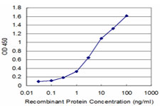 Detection limit for recombinant GST tagged MSI1 is approximately 0.3 ng/ml as a capture antibody.