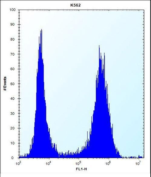 ND3 Antibody flow cytometry of K562 cells (right histogram) compared to a negative control cell (left histogram). FITC-conjugated donkey-anti-rabbit secondary antibodies were used for the analysis.