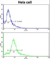 Flow cytometric of HeLa cells using PID/MTA2 Antibody (bottom histogram) compared to a negative control cell (top histogram). FITC-conjugated goat-anti-rabbit secondary antibodies were used for the analysis.