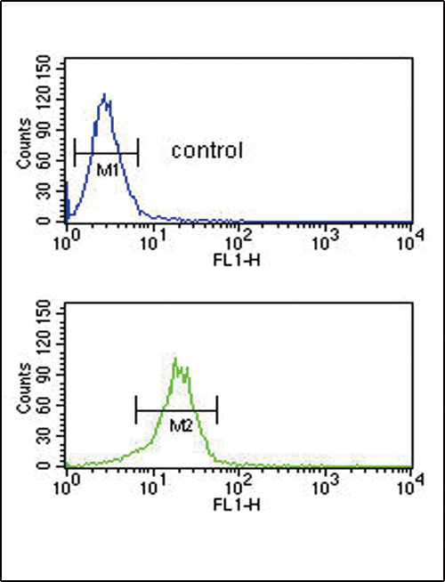 MTHFD2 Antibody flow cytometry of NCI-H460 cells (bottom histogram) compared to a negative control cell (top histogram). FITC-conjugated goat-anti-rabbit secondary antibodies were used for the analysis.