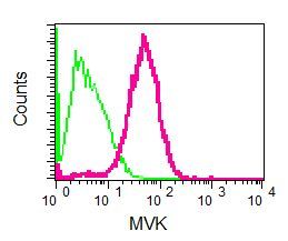 Flow cytometry of permeabilized HepG2 cells using anti-MVK antibody (red)or a rabbit IgG (negative) (green).