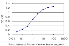 Detection limit for recombinant GST tagged MYBL2 is approximately 0.03 ng/ml as a capture antibody.
