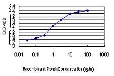Detection limit for recombinant GST tagged MYBPC1 is approximately 0.03 ng/ml as a capture antibody.