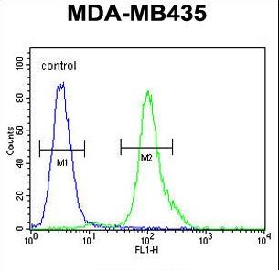 MYCT1 Antibody flow cytometry of MDA-MB435 cells (right histogram) compared to a negative control cell (left histogram). FITC-conjugated goat-anti-rabbit secondary antibodies were used for the analysis.