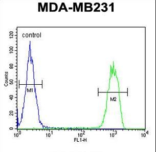 CJ119 Antibody flow cytometry of MDA-MB231 cells (right histogram) compared to a negative control cell (left histogram). FITC-conjugated goat-anti-rabbit secondary antibodies were used for the analysis.
