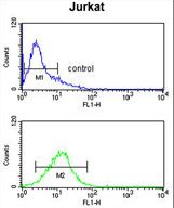 MYO1A Antibody (Center S291) flow cytometry of Jurkat cells (bottom histogram) compared to a negative control cell (top histogram). FITC-conjugated goat-anti-rabbit secondary antibodies were used for the analysis.
