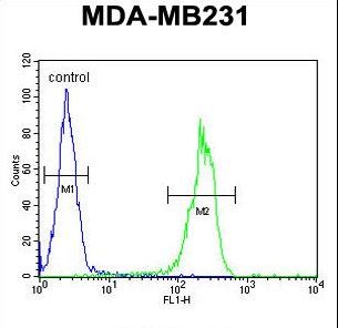 MYSM1 Antibody flow cytometry of MDA-MB231 cells (right histogram) compared to a negative control cell (left histogram). FITC-conjugated goat-anti-rabbit secondary antibodies were used for the analysis.