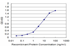 Detection limit for recombinant GST tagged ARD1A is approximately 0.1 ng/ml as a capture antibody.