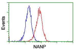 Flow cytometry of Jurkat cells, using anti-NANP antibody (Red), compared to a nonspecific negative control antibody (Blue).
