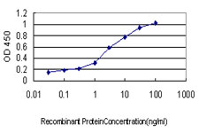 Detection limit for recombinant GST tagged NBL1 is approximately 0.03 ng/ml as a capture antibody.