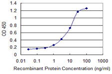 Detection limit for recombinant GST tagged NUBP1 is 0.3 ng/ml as a capture antibody.