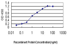 Detection limit for recombinant GST tagged CNAP1 is approximately 0.1 ng/ml as a capture antibody.