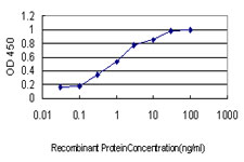 Detection limit for recombinant GST tagged HCAP-G is approximately 0.1 ng/ml as a capture antibody.