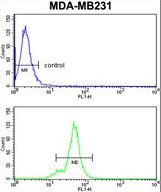 NCK1 Antibody flow cytometry of MDA-MB231 cells (bottom histogram) compared to a negative control cell (top histogram). FITC-conjugated goat-anti-rabbit secondary antibodies were used for the analysis.