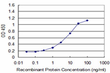 Detection limit for recombinant GST tagged NEUROG1 is approximately 0.3 ng/ml as a capture antibody.