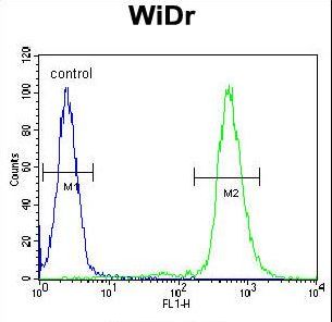 RPS6 Antibody (Ser240/244) flow cytometry of WiDr cells (right histogram) compared to a negative control cell (left histogram). FITC-conjugated goat-anti-rabbit secondary antibodies were used for the analysis.
