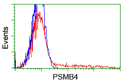 HEK293T cells transfected with either overexpress plasmid (Red) or empty vector control plasmid (Blue) were immunostained by anti-PSMB4 antibody, and then analyzed by flow cytometry.