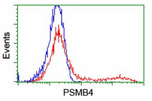 HEK293T cells transfected with either overexpress plasmid (Red) or empty vector control plasmid (Blue) were immunostained by anti-PSMB4 antibody, and then analyzed by flow cytometry.