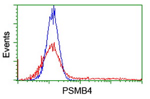 HEK293T cells transfected with either overexpress plasmid (Red) or empty vector control plasmid (Blue) were immunostained by anti-PSMB4 antibody, and then analyzed by flow cytometry.