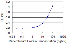 Detection limit for recombinant GST tagged RPS9 is 1 ng/ml as a capture antibody.