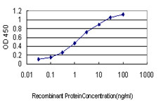 Detection limit for recombinant GST tagged RRM2 is approximately 0.03 ng/ml as a capture antibody.