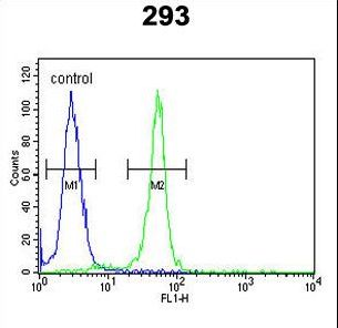 RRS1 Antibody flow cytometry of 293 cells (right histogram) compared to a negative control cell (left histogram). FITC-conjugated goat-anti-rabbit secondary antibodies were used for the analysis.