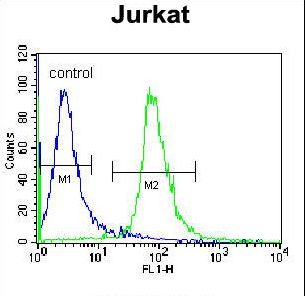 RSBN1 Antibody flow cytometry of Jurkat cells (right histogram) compared to a negative control cell (left histogram). FITC-conjugated donkey-anti-rabbit secondary antibodies were used for the analysis.