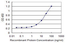 Detection limit for recombinant GST tagged RTKN2 is 0.3 ng/ml as a capture antibody.