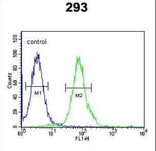 RTKN2 Antibody flow cytometry of 293 cells (right histogram) compared to a negative control cell (left histogram). FITC-conjugated goat-anti-rabbit secondary antibodies were used for the analysis.