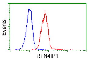 Flow cytometry of Jurkat cells, using anti-RTN4IP1 antibody (Red), compared to a nonspecific negative control antibody (Blue).