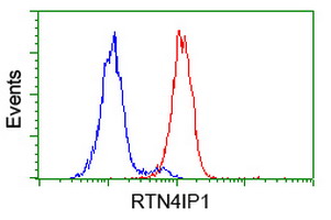 Flow cytometry of HeLa cells, using anti-RTN4IP1 antibody (Red), compared to a nonspecific negative control antibody (Blue).